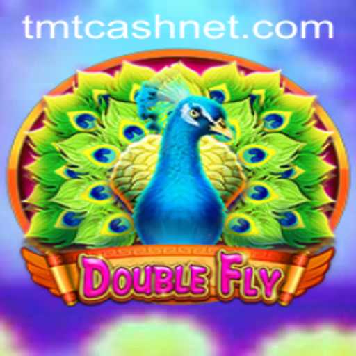 Exploring the Thrilling World of DoubleFly and TMTCash
